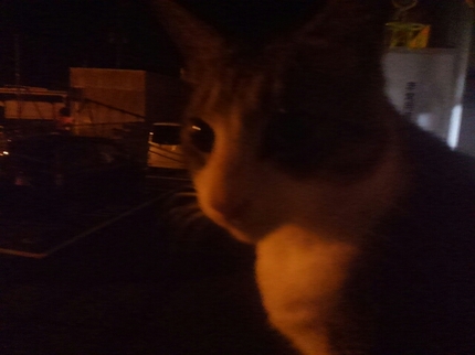 20201009032639458.jpg