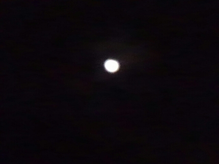 20201012032055674.jpg