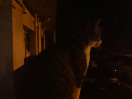 20201012042034338.jpg