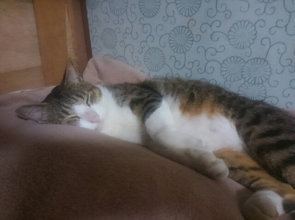 20201015015041427.jpg