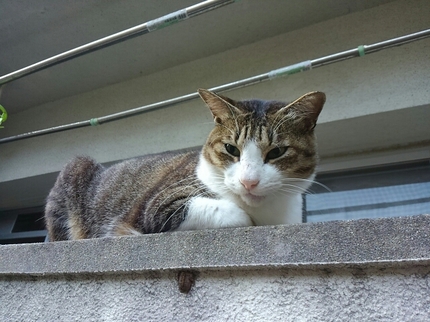 20201019040539009.jpg