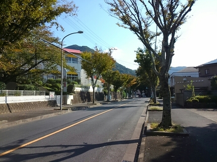 20201019040557536.jpg