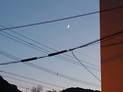 20201021055346068.jpg