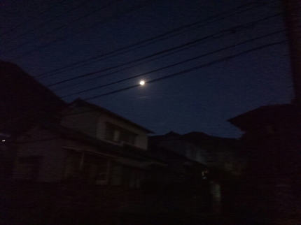 20201028045219079.jpg