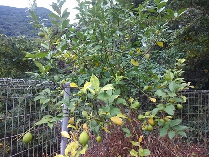 20201028075533833.jpg