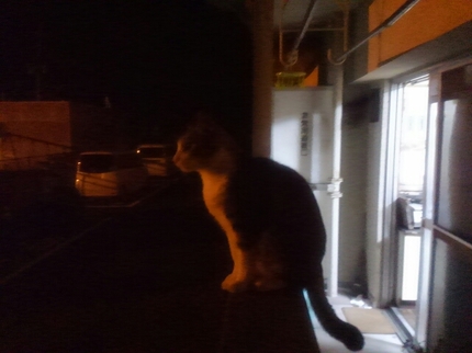 20201104052339435.jpg