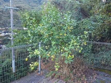 20201112075754447.jpg