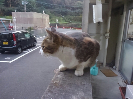 20201115020811719.jpg