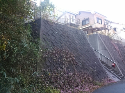 20201115063221209.jpg
