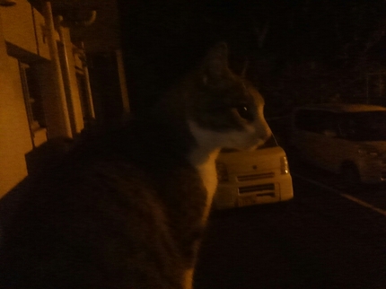 20201126041329367.jpg