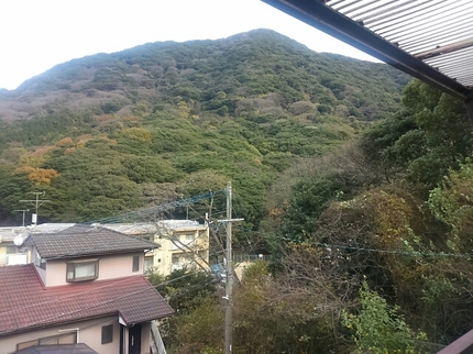 20201221040726554.jpg