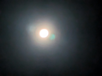 PXL_20240919_170239379.NIGHT.jpg