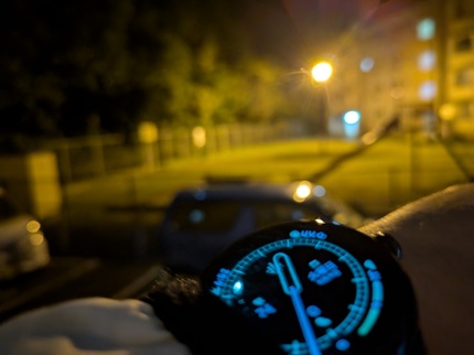 PXL_20241118_153342063.NIGHT.jpg