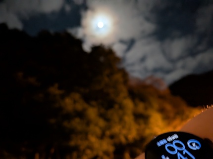 PXL_20250117_154106042.NIGHT.jpg