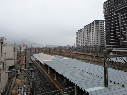 PXL_20250318_025414855.jpg